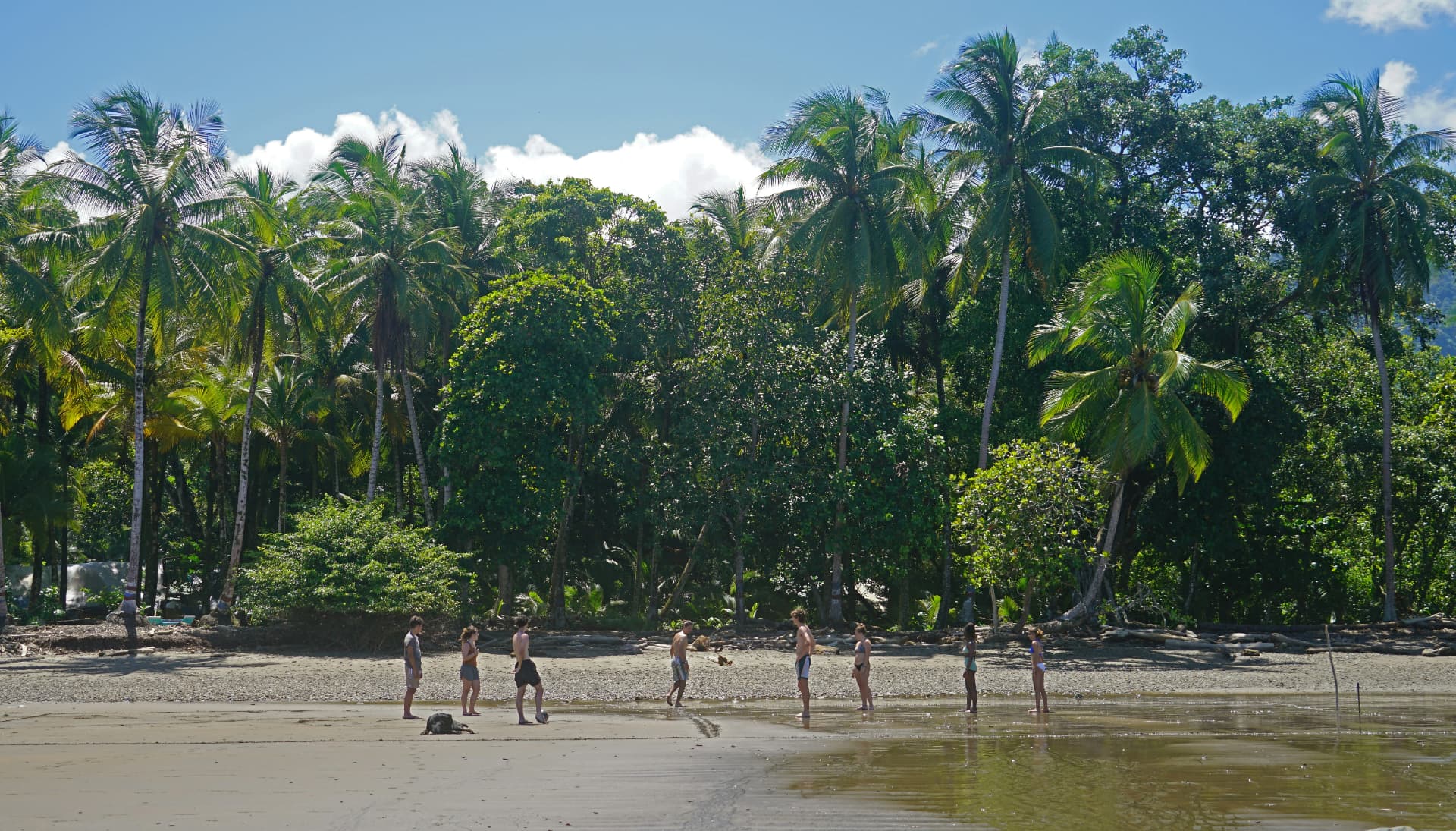 Manuel Antonio National Park and beach day combo
