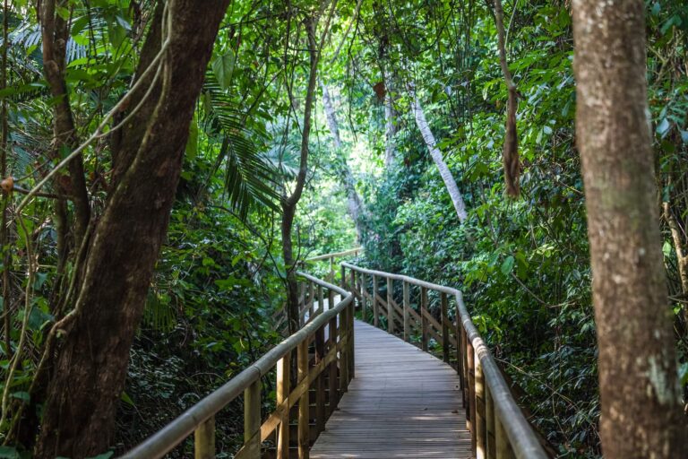 A guided walk through Manuel Antonio National Park